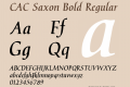 CAC Saxon Bold