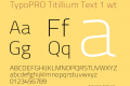 TypoPRO Titillium Text