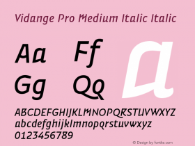 Vidange Pro Medium Italic