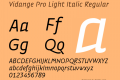 Vidange Pro Light Italic