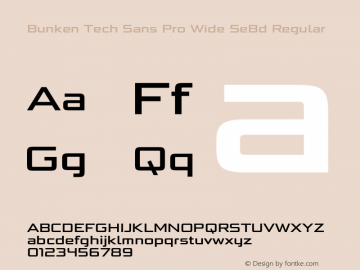 Bunken Tech Sans Pro Wide SeBd