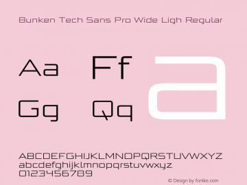 Bunken Tech Sans Pro Wide Ligh