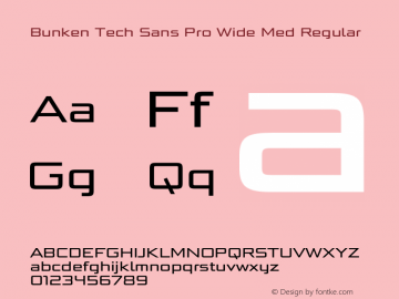 Bunken Tech Sans Pro Wide Med