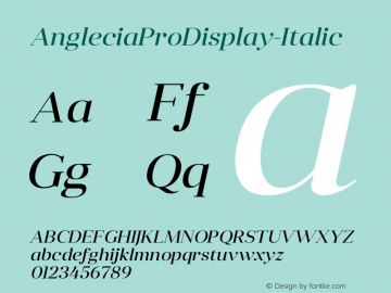 AngleciaProDisplay-Italic