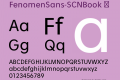 FenomenSans-SCNBook