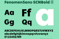 FenomenSans-SCNBold