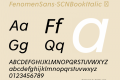 FenomenSans-SCNBookItalic