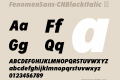 FenomenSans-CNBlackItalic