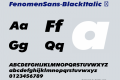 FenomenSans-BlackItalic