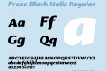 Proza Black Italic