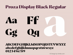 Proza Display Black