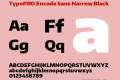 TypoPRO Encode Sans Narrow