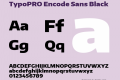 TypoPRO Encode Sans