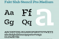 Fakt Slab Stencil Pro