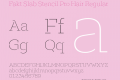 Fakt Slab Stencil Pro Hair