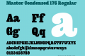 Master Condensed 176