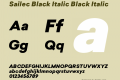 Sailec Black Italic