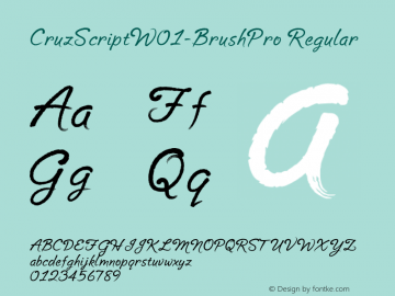 CruzScript-BrushPro