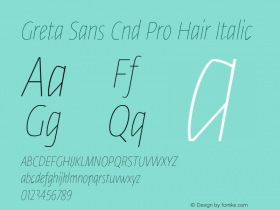 Greta Sans Cnd Pro Hair