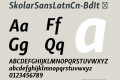 SkolarSansLatnCn-BdIt