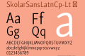 SkolarSansLatnCp-Lt