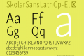 SkolarSansLatnCp-El