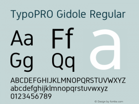 TypoPRO Gidole