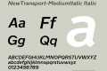 NewTransport-MediumItalic