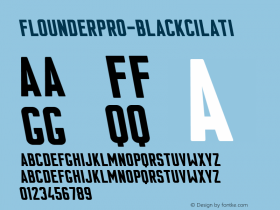 FlounderPro-BlackCilati
