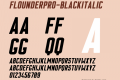 FlounderPro-BlackItalic