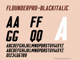 FlounderPro-BlackItalic