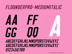 FlounderPro-MediumItalic