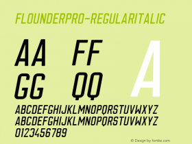 FlounderPro-RegularItalic