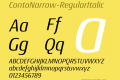 ContoNarrow-RegularItalic