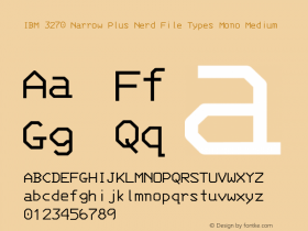 IBM 3270 Narrow Plus Nerd File Types Mono