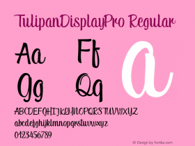TulipanDisplayPro