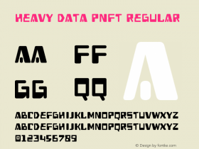 Heavy Data PNFT