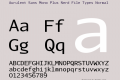 Aurulent Sans Mono Plus Nerd File Types