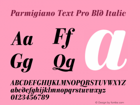 Parmigiano Text Pro Bld