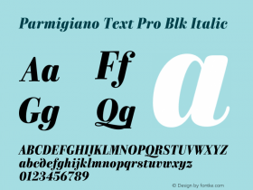 Parmigiano Text Pro Blk