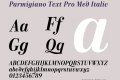 Parmigiano Text Pro Med