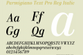 Parmigiano Text Pro Reg