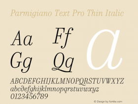 Parmigiano Text Pro Thin