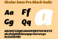 Skolar Sans Pro Black