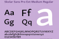 Skolar Sans Pro Ext Medium