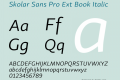 Skolar Sans Pro Ext Book