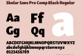 Skolar Sans Pro Comp Black