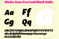 Skolar Sans Pro Cond Black