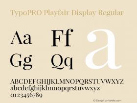 TypoPRO Playfair Display
