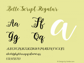 Belle Script